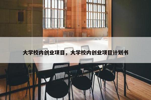 大学校内创业项目，大学校内创业项目计划书