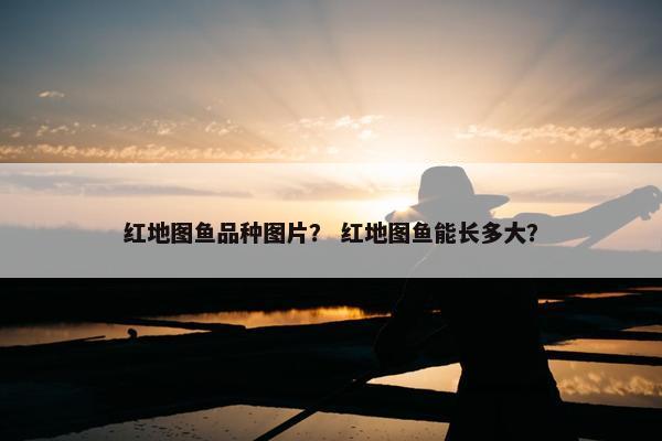 红地图鱼品种图片？ 红地图鱼能长多大？