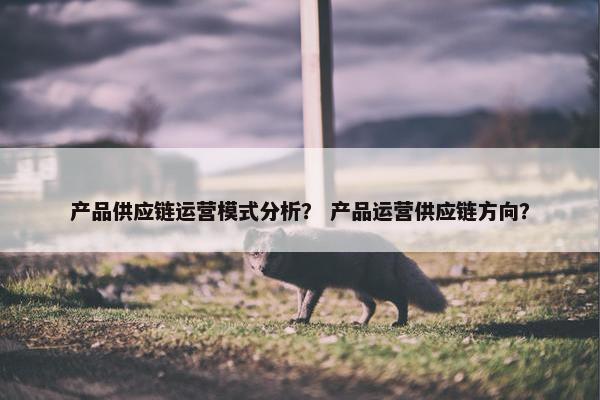 产品供应链运营模式分析？ 产品运营供应链方向？