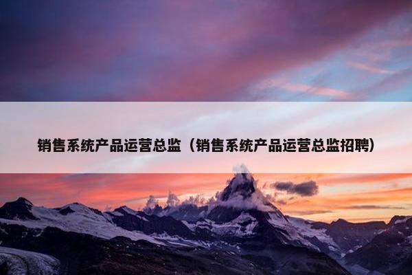 销售系统产品运营总监（销售系统产品运营总监招聘）
