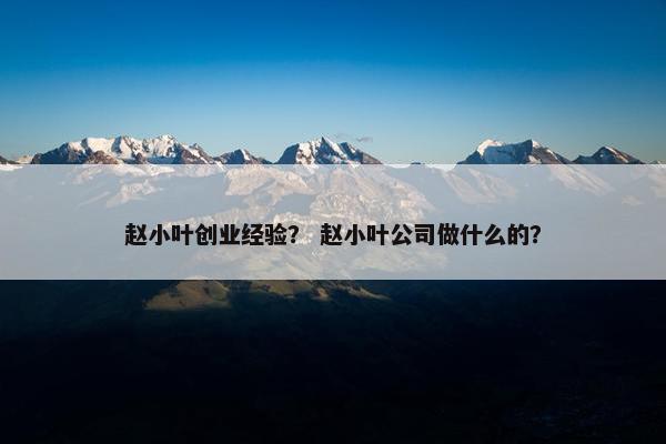 赵小叶创业经验？ 赵小叶公司做什么的？