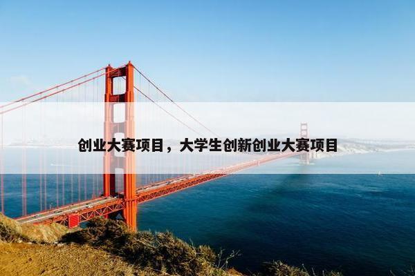 创业大赛项目，大学生创新创业大赛项目