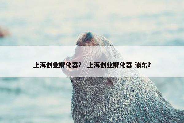 上海创业孵化器？ 上海创业孵化器 浦东？