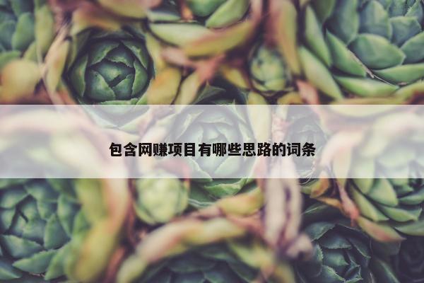 包含网赚项目有哪些思路的词条