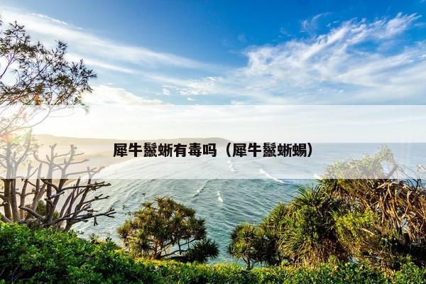 犀牛鬣蜥有毒吗（犀牛鬣蜥蜴）