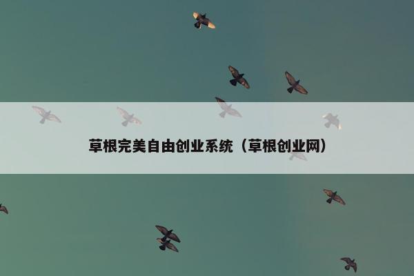 草根完美自由创业系统（草根创业网）