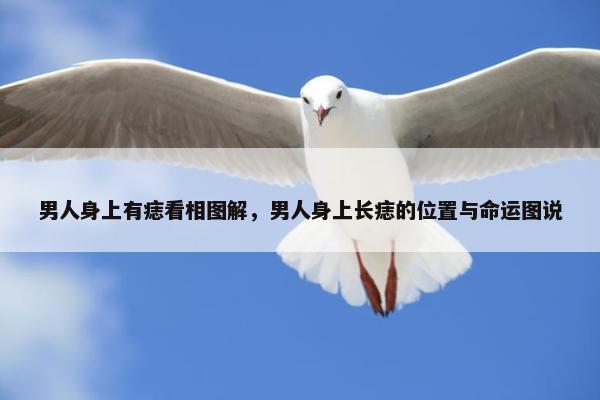 男人身上有痣看相图解，男人身上长痣的位置与命运图说
