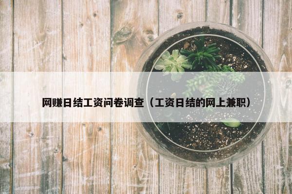 网赚日结工资问卷调查（工资日结的网上兼职）