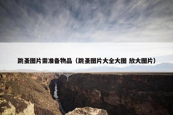 跳蚤图片需准备物品（跳蚤图片大全大图 放大图片）