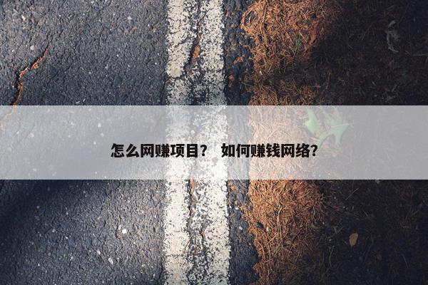 怎么网赚项目？ 如何赚钱网络？