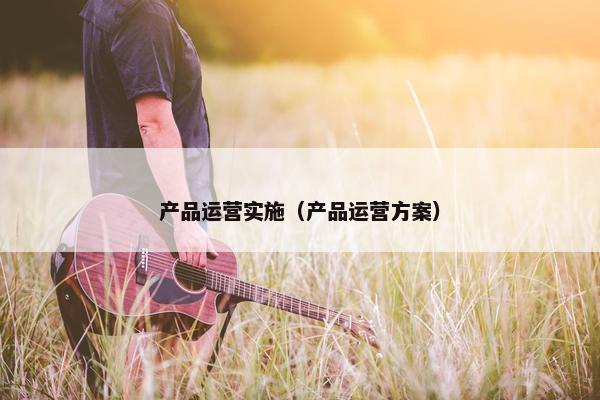 产品运营实施（产品运营方案）