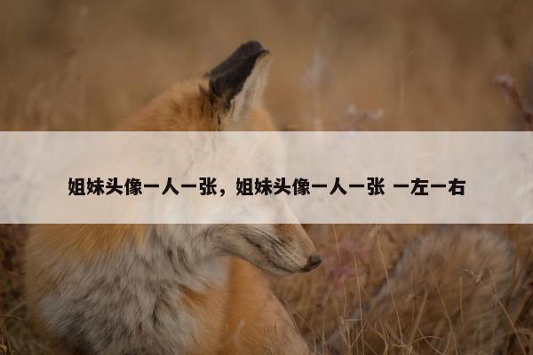 姐妹头像一人一张，姐妹头像一人一张 一左一右