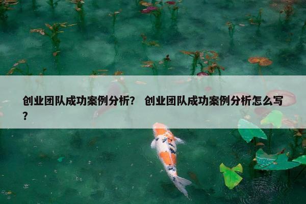 创业团队成功案例分析？ 创业团队成功案例分析怎么写？