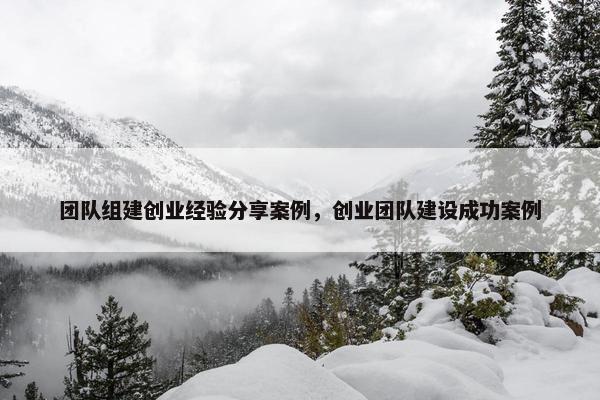 团队组建创业经验分享案例，创业团队建设成功案例