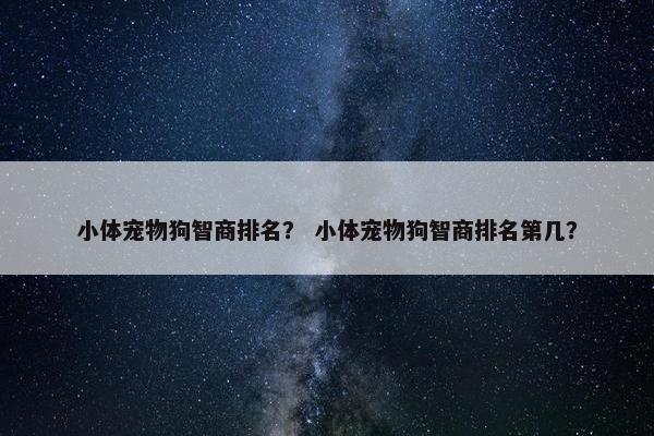 小体宠物狗智商排名？ 小体宠物狗智商排名第几？