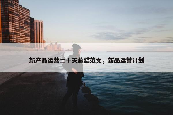 新产品运营二十天总结范文，新品运营计划