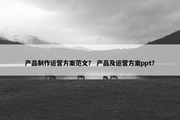 产品制作运营方案范文？ 产品及运营方案ppt？