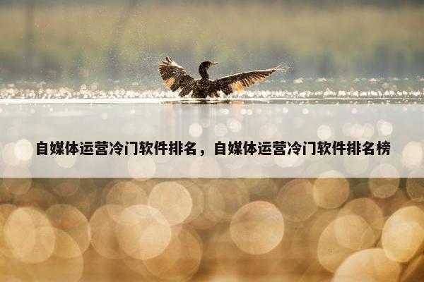 自媒体运营冷门软件排名，自媒体运营冷门软件排名榜