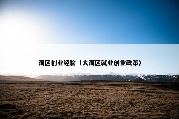 湾区创业经验（大湾区就业创业政策）