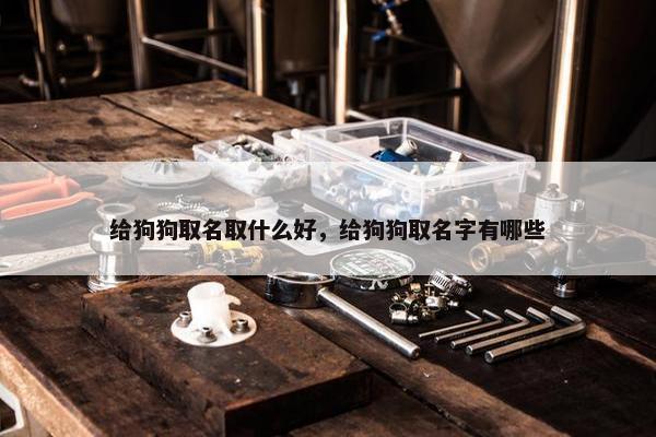 给狗狗取名取什么好，给狗狗取名字有哪些