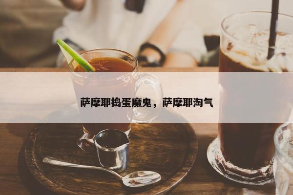 萨摩耶捣蛋魔鬼，萨摩耶淘气
