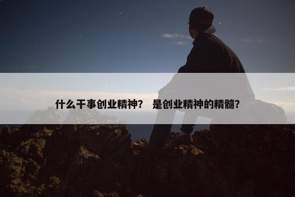 什么干事创业精神？ 是创业精神的精髓？
