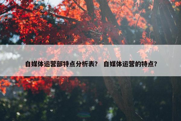 自媒体运营部特点分析表？ 自媒体运营的特点？