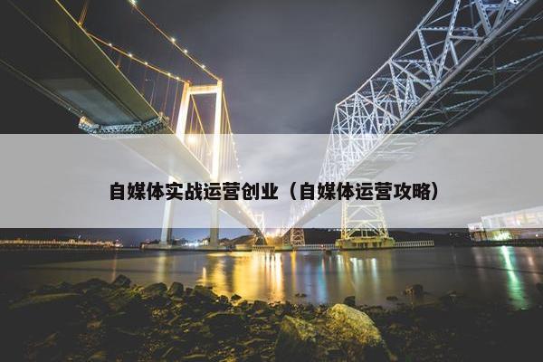 自媒体实战运营创业（自媒体运营攻略）