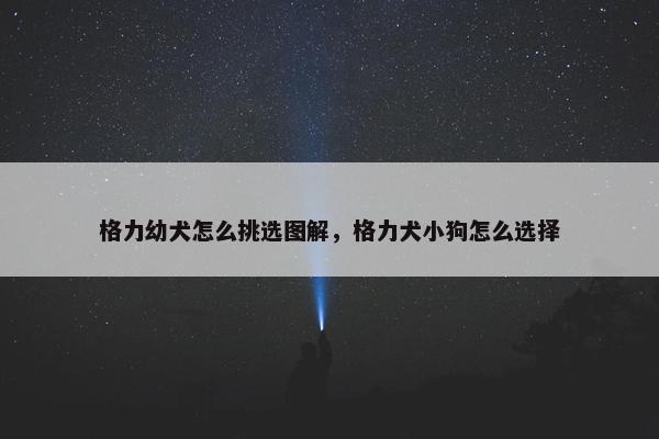 格力幼犬怎么挑选图解，格力犬小狗怎么选择