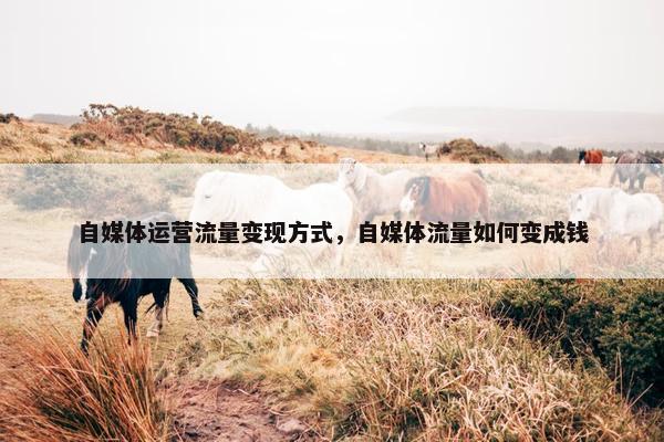 自媒体运营流量变现方式，自媒体流量如何变成钱