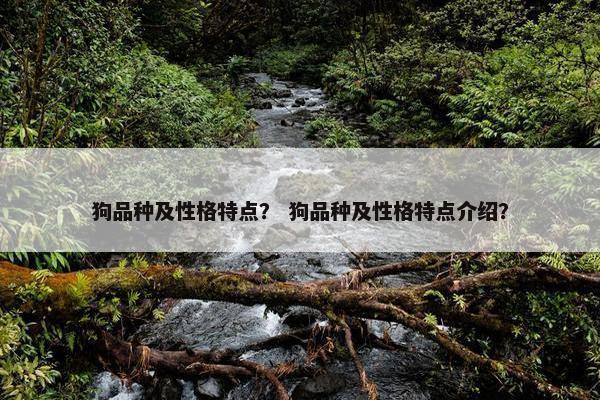 狗品种及性格特点？ 狗品种及性格特点介绍？