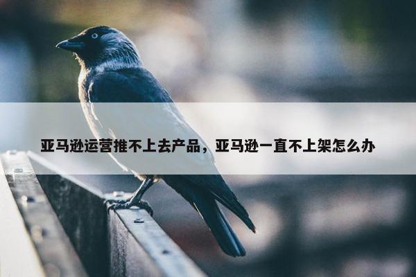亚马逊运营推不上去产品，亚马逊一直不上架怎么办
