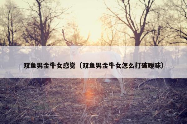 双鱼男金牛女感觉（双鱼男金牛女怎么打破暧昧）