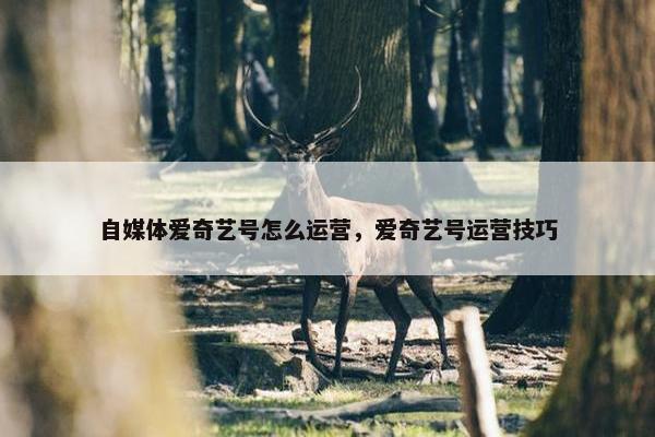 自媒体爱奇艺号怎么运营，爱奇艺号运营技巧