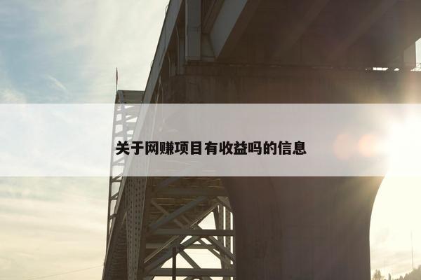 关于网赚项目有收益吗的信息