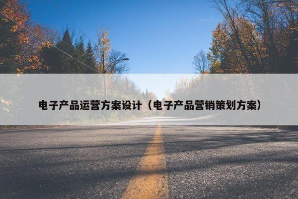 电子产品运营方案设计（电子产品营销策划方案）