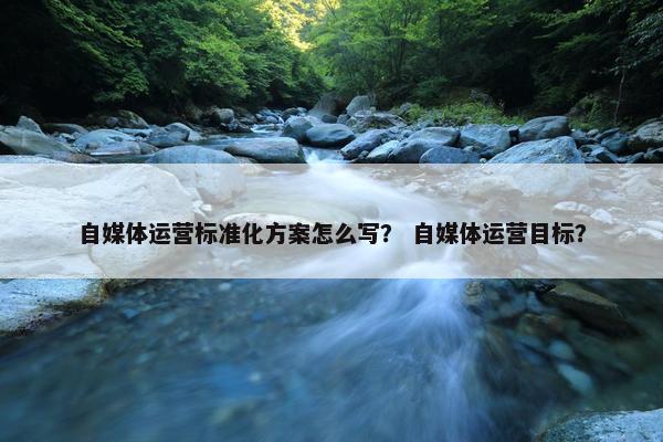自媒体运营标准化方案怎么写？ 自媒体运营目标？