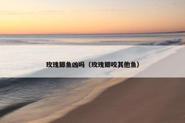 玫瑰鲫鱼凶吗（玫瑰鲫咬其他鱼）