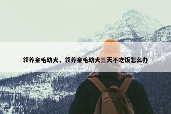 领养金毛幼犬，领养金毛幼犬三天不吃饭怎么办