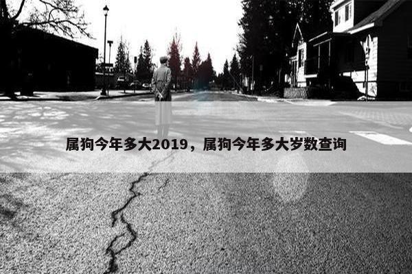 属狗今年多大2019，属狗今年多大岁数查询