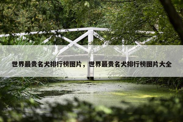世界最贵名犬排行榜图片，世界最贵名犬排行榜图片大全