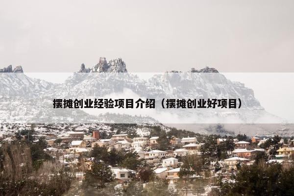摆摊创业经验项目介绍（摆摊创业好项目）