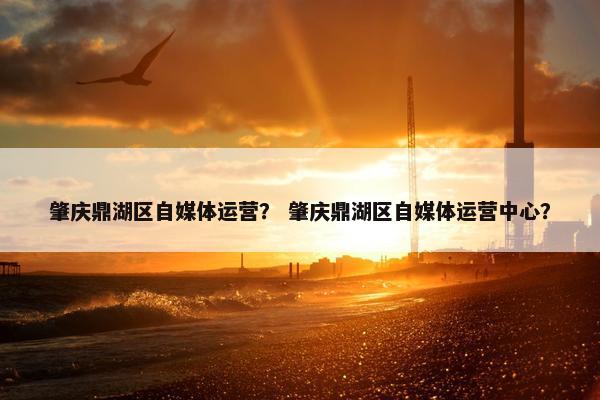 肇庆鼎湖区自媒体运营？ 肇庆鼎湖区自媒体运营中心？