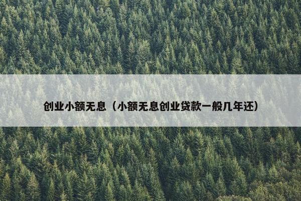 创业小额无息（小额无息创业贷款一般几年还）