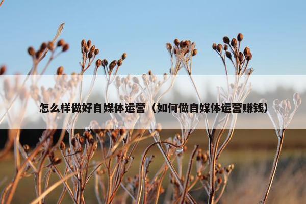 怎么样做好自媒体运营（如何做自媒体运营赚钱）