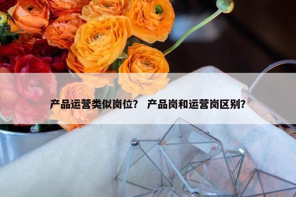 产品运营类似岗位？ 产品岗和运营岗区别？