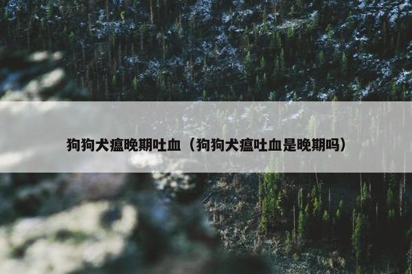 狗狗犬瘟晚期吐血（狗狗犬瘟吐血是晚期吗）