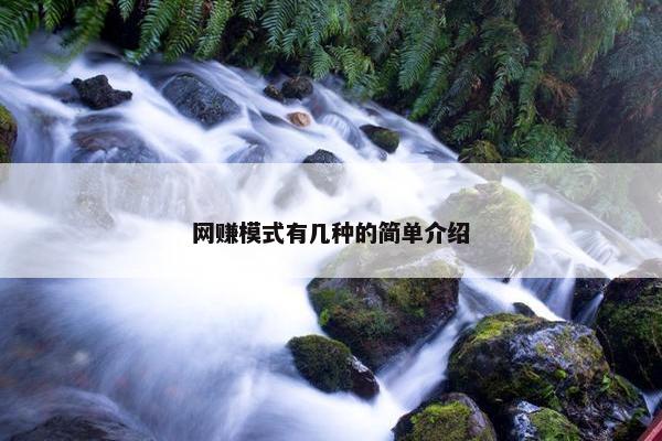 网赚模式有几种的简单介绍