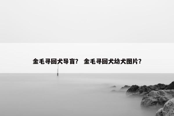 金毛寻回犬导盲？ 金毛寻回犬幼犬图片？