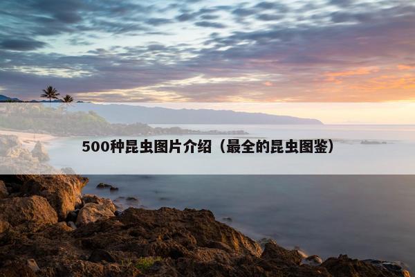500种昆虫图片介绍（最全的昆虫图鉴）